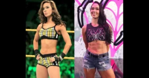 AJ Lee WWE Return After 10 Years