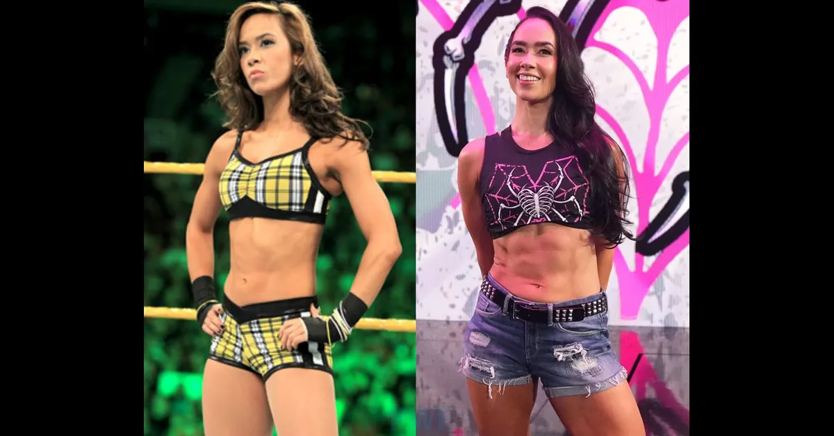 AJ Lee WWE Return After 10 Years